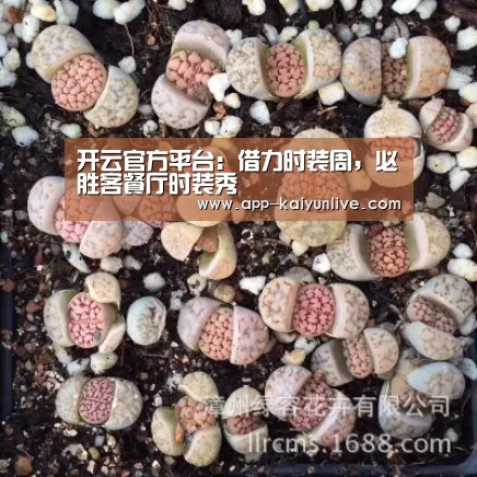 开云官方平台：借力时装周，必胜客餐厅时装秀